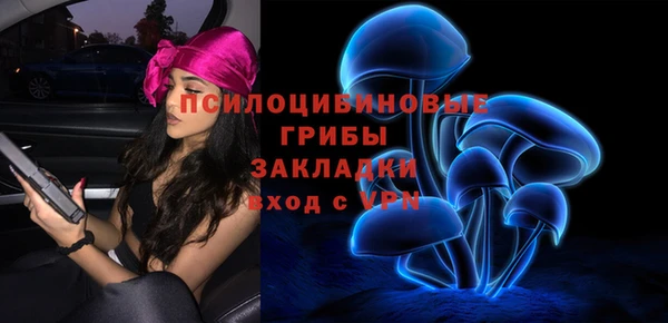 jwh Инсар